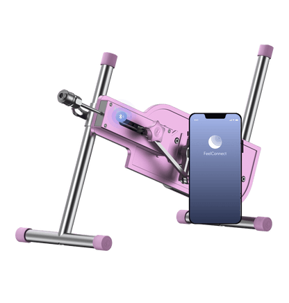 PleasureDrive, and FeelConnect, the app which connects the machine and pornographic videos